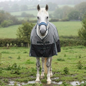 Manta Impermeable para Caballos, Rellena de Algodón, Transpirable, de Poliéster, para Todas las Estaciones, Protección para Establos al Aire Libre - Product Image 2