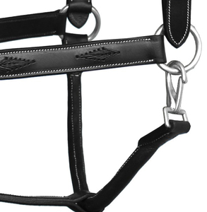 Equipo Ecuestre de Cuero Genuino de Primera Calidad, Halter Trenzado con Logotipo Personalizado, Ajustable, Anatómico y Elegante para Montar a Caballo - Product Image 5