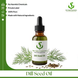 Professional Dill Seed Essential <b>Oil</b> Supplier Offering Bulk Packaging Solutions for Cosmetics Personal Care Fragrance <b>Perfume</b> - Product Image 1