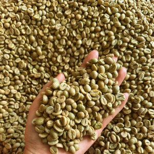 Grains de Robusta Biologiques Vietnamiens de Haute Qualité Taille 18, Exportation en Gros, avec 0,1% de brisures et de grains noirs, Humidité 12,5% Max, Récolte Nouvelle - Product Image 1