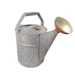 Arrosoir en acier galvanisé avec long bec et pommeau de douche amovible pour plantes de jardin intérieures et extérieures, fournitures de jardin - Product Image 5