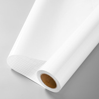 Film transparent mat amovible pour voiture, vente en gros, personnalisation OEM ODM pour entreprises d'exportation, garantie 1 an