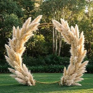 Nouveautés : Herbe de la Pampa séchée et préservée, naturelle, écologique, longue durée, pour décoration de mariage et de remise de diplôme, 110-130 cm - Product Image 1