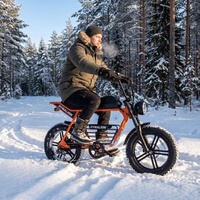 Vélo électrique tout-terrain robuste avec porte-bagages central, vélo électrique toutes saisons pour les trajets hivernaux sur sentiers enneigés
