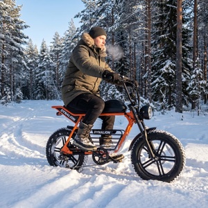 Bici Elettrica Robusta con Pneumatici Larghi e Portapacchi Centrale, E-bike per Ogni Condizione Meteo, Ideale per Spostamenti Invernali su Sentieri Innevati - Product Image 1