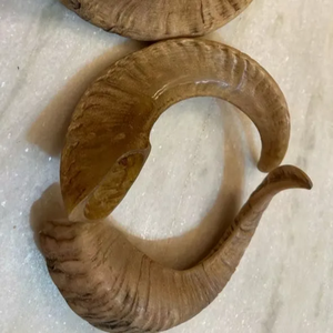 Shofar Hecho a Mano Personalizado, Cuerno de Carnero, Instrumento Musical Decorativo para Oración y Adoración Tradicional, Material de Alta Calidad Premium - Product Image 1