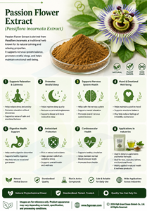 Suministro directo de fábrica HGO de extracto de flor de la Pasión natural puro EXTRACTO DE Passiflora incarnata (grado alimenticio) Especificación 10:1 - Product Image 3