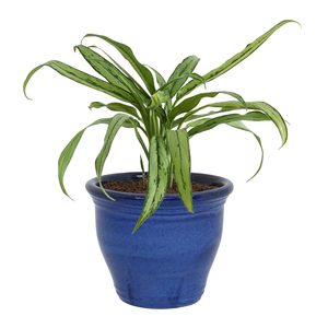 กระถางดอกไม้เซรามิกสีน้ำเงินพร้อมการจัดดอกไม้หลากสีสันสำหรับตกแต่งภายในและภายนอกอาคาร - Product Image 6