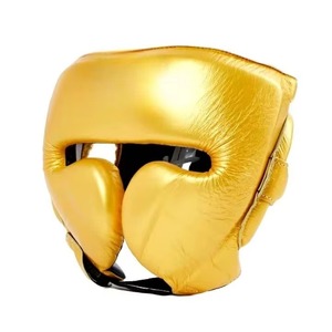 Conjunto de Equipo de Boxeo Personalizado, Precio de Fábrica, Guantes, Pantalones Cortos y Protector de Cabeza con Logotipo OEM, Venta al Por Mayor, MOQ Bajo - Product Image 3