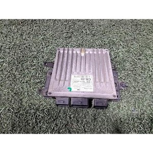 ECUs y Módulos de Computación Usados de Carnival 391014X810 - Product Image 1
