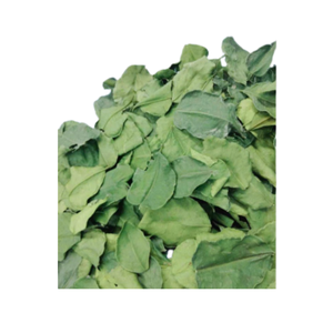 Hojas de lima kaffir secas de Vietnam de primera calidad, hechas con hojas de lima naturales para uso en restaurantes y servicios de comida. - Product Image 4