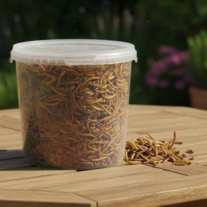 Gusanos de harina amarillos secos de primera calidad, 100% naturales, sin OMG, alimento rico en proteínas para aves, gallos de pelea, peces, reptiles y mascotas pequeñas - Product Image 1