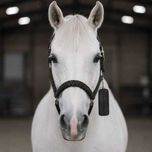 Silla de Montar Inglesa Rub International de Tamaño Personalizado, Ajustable y Anatómica, con Cabestro de Cuero Puro y Diseño Inteligente para Montar a Caballo - Product Image 3