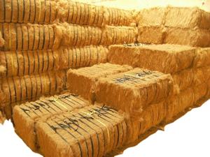 FIBRE DE NOIX DE COCO BON MARCHÉ DE VDELTA/NOUS CONTACTER: Ms.Laura + 84 918509071 - Product Image 2