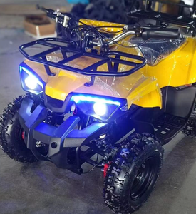 Motocicleta de Gasolina de 2 Tiempos para Jóvenes, Vehículo Todoterreno Mini de 50cc con Cadena para Niños, ATV de Carreras de 40 km/h - Product Image 4