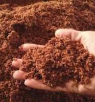Coco Peat Berkualitas Tinggi dan Ringan Untuk Budidaya Tanaman Bunga, Coco Peat Serbaguna Dengan Harga Terbaik Dari Pemasok