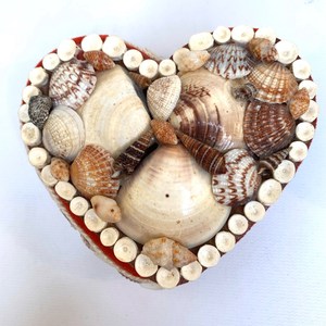 Mini Boxes for Rings Bracelets Earrings Jewelry Box Rings Red Velvet Oeacen Sea <b>Shells</b> Travel Souvenirs Gifts - Product Image 3