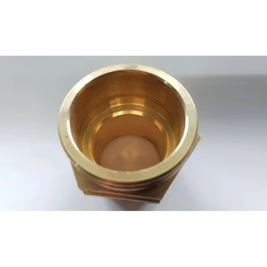 Raccord mâle en laiton de qualité supérieure 3/4 pouce pour raccords PPR PN16, connexion filetée, fournisseur de raccords de plomberie eau chaude et froide - Product Image 1
