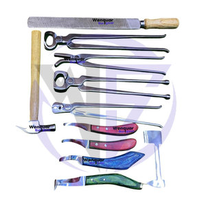 Professional 11-Piece Stainless Steel Farrier Tools Kit High Quality Horse Hoof <b>Care</b> Wenquar Surgical Instruments - Product Image 2