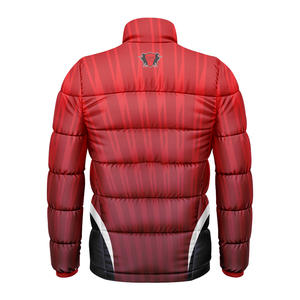 Veste matelassée d'extérieur pour homme de haute qualité, légère, coupe-vent, résistante à l'eau, doublure en coton écologique, fermeture éclair, nouveau design - Product Image 6