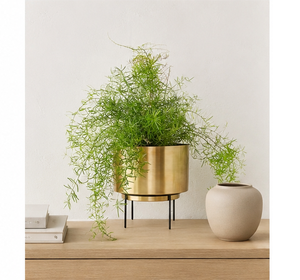 Macetero Moderno de Metal Dorado con Soporte de Hierro Negro, Maceta Redonda de Lujo para Jardín Interior y Decoración del Hogar - Product Image 2