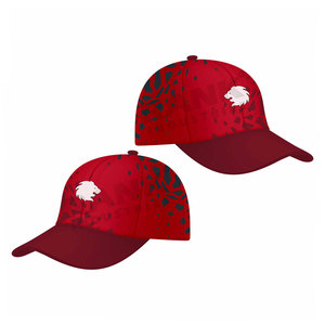 Gorras Deportivas de Nuevo Diseño, Gorras Deportivas con Logotipo Personalizado, Gorras Deportivas Ligeras a Bajo Precio para Venta en Línea - Product Image 3