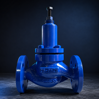 Válvula de Alivio de Accionamiento Automático de Paso Directo OEM al por Mayor, Conexión Bridada DN25, Control de Presión Hidráulica para Agua Industrial