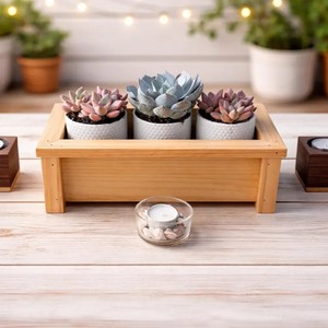 Maceta de madera minimalista natural para plantas pequeñas de interior, para escritorio y mesa, maceta de interior de Vietnam B2B - Product Image 2