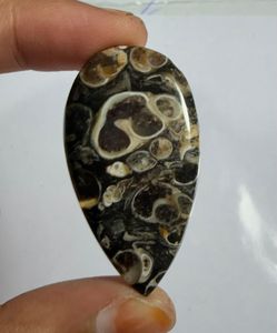 Cabochon en agate Turritella en forme de cœur, pierre précieuse minérale polie pour la fabrication de bijoux - Product Image 1