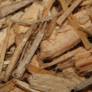 Granulés de bois de pin de haute qualité 100 %, granulés de bois combustibles/énergétiques, copeaux de bois secs de la meilleure qualité, granulés de bois DIN plus/EN plus - Product Image 2