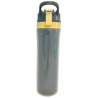 Nouvelle gourde isotherme 2025 de 650 ml, écologique, avec pulvérisateur interne coloré, double paroi, double verrouillage, isolation thermique 6 heures, pour boire directement