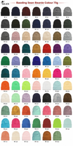 Chapeau en acrylique uni unisexe Harry Johnson, broderie personnalisée, logo, casquette d'hiver décontractée, adulte, circonférence de la tête 56-58 cm - Product Image 5