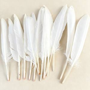 Coussin en plumes de canard blanc 90% (2026) – Rembourrage brut, lavé et propre, en vrac, provenance Vietnam, meilleur prix, modèle VSF-DF - Product Image 5