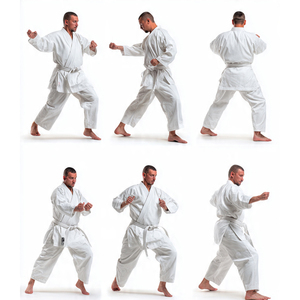Uniforme de Karate para Hombre, Ropa de Entrenamiento de Alta Calidad, Traje de Judo para Combate, Uniformes de Karate y Judo para Entrenamiento de Boxeo - Product Image 3