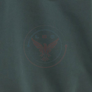Latest Style Winter Women <b>Oversized</b> <b>Hoodies</b> Made in Pakistan Hooded Front Logo 100% Cotton Fleece Unique Design - Product Image 6