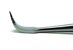 Elevadores Dentales de Acero Inoxidable de Alta Calidad, Instrumentos Quirúrgicos Dentales de Accionamiento Manual, Certificación CE - Product Image 4