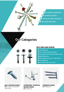 Tornillos para Techo de Acero Inoxidable con Cabeza Hexagonal y Arandela, Métricos/Pulgadas, Autoperforantes, Fabricados en Taiwán - Product Image 4