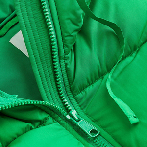 Veste matelassée en peau de mouton verte à capuche pour femme, chaude pour l'hiver, manches longues, en cuir épais, couleur unie, longueur normale, en nylon - Product Image 4