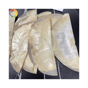 Eco-Friendly Raw Mussel Shell Pieces for Home Ornament Accessories From Vietnam - Product Image 6