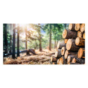 Madera de teca de primera calidad, troncos de teca redondos secos a granel, troncos de teca natural duraderos en venta al mejor precio - Product Image 6