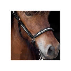 สายจูงม้าหนังแท้ Rub International รุ่น 7860H พร้อมโซ่ Hot Fix สีและโลโก้สั่งทำได้ ทนทาน เหมาะสำหรับขี่ม้า - Product Image 2