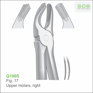 คีมถอนฟันแบบใช้มือ รุ่น G1002 รูปที่ 1 ฟันหน้าบน ฟันกรวย สแตนเลสสตีล ฆ่าเชื้อได้ ผ่านการรับรองมาตรฐาน CE - Product Image 5