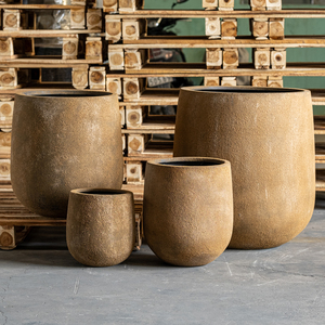 Pot en béton au fini naturel pour des intérieurs élégants et des espaces extérieurs conçus pour la verdure et l'attrait visuel - Product Image 6