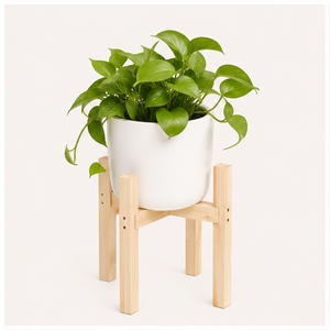 Exclusive Quality Wooden Plant Stand Eco-Friendly Wooden Flower <b>Pot</b> <b>Holder</b> for Indoor Living Room and Balcony Decor - Product Image 1