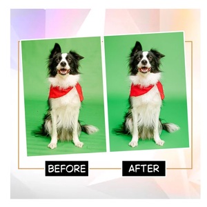 Servicio Profesional de Edición de Imágenes de Mascotas con Retoque de Pelaje y Mejora de Aspecto Natural Disponible en Cantidad al por Mayor - Product Image 1