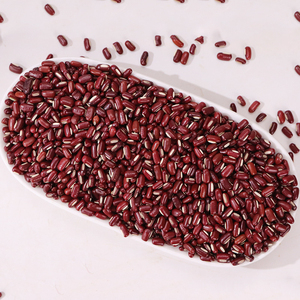 Haricots rouges de qualité supérieure prêts à être expédiés, qualité alimentaire, vente en gros, approvisionnement en vrac, service OEM de qualité supérieure pour les acheteurs B2B - Product Image 3