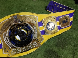 Cinturón de Campeonato de la Gira de Despedida de John Cena, Aleación de Zinc, Chapado en Oro, Diseño de Águila, Personalizable, Ligero, Unisex, MMA, Artes Marciales - Product Image 5
