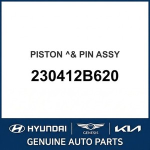Nouveaux pistons et segments Accent 230412B620 - Product Image 1