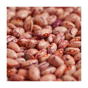 Frijoles blancos moteados de calidad garantizada, suministrados para comercio mayorista y negocios de alimentos - Product Image 2