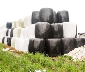 Ensilage de maïs de haute qualité en vrac Nutrition et croissance optimales pour l'alimentation du bétail des chevaux et des porcs - Product Image 1